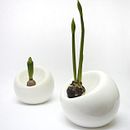 Bulb planter. Un proyecto de Diseño de producto, Diseño industrial y Cerámica de Marre Moerel - 08.07.2021