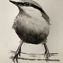 My project in Artistic Watercolor Techniques for Illustrating Birds course . Ilustrasi tradisional, Lukisan Cat Air, Gambar Realistis & Ilustrasi Naturalistik proyek oleh Dolores van Arkel - 07.11.2021