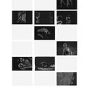 Ombre. Un proyecto de Ilustración tradicional de erica garbin - 12.07.2021