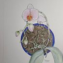 My project in Botanical Sketchbooking: A Meditative Approach course Orchid. Een project van  Botanische illustratie van Suzanne McGregor - 11.07.2021