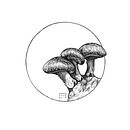 Floral. Projekt z dziedziny Trad, c, jna ilustracja,  R, sunek, R, sunek c i frow użytkownika andrearope - 14.07.2021