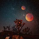 Mi Proyecto del curso: Fotomontaje mágico en Photoshop: crea metáforas visuales. Un projet de Postproduction photographique, Retouche photographique, Photographie numérique, Composition photographique , et Photomontage de Yolanda Viva - 14.07.2021