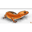 Tecniche di illustrazione in pixel art: Leopard Gecko. Un proyecto de Ilustración tradicional, Ilustración digital y Pixel art de Lorenzo Guerra - 15.07.2021