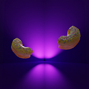 D0nu7. 3D, and Graphic Design project by P pz - 06.20.2004
