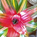 Mi Proyecto del curso:  Top-down: prendas a crochet de una sola pieza. Fashion Design, Fiber Arts, DIY, and Crochet project by Andrea Fer - 05.29.2021