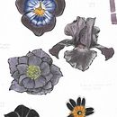 Mi Proyecto del curso: Acuarela botánica para estampados. Un projet de Illustration traditionnelle, Création de motifs, Aquarelle et Illustration botanique de Lily Portius Yáñez - 19.07.2021