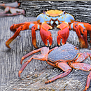 Mi Proyecto del curso: Fotografía híbrida para la experimentación creativa. Een project van Fotografie, Retoucheren van foto's, Artistieke fotografie,  Analoge fotografie, Fotografische zelfportretten y  Ontwerp van Millie Coquis - 19.07.2021