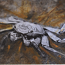 foto intervenida con bordado. Een project van Fotografie van Millie Coquis - 19.07.2021