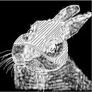 Octavio Kao$ (Rapero) Ein Projekt aus dem Bereich Musik, Urban Art, Kreativität und Schrift von Octavio Nuñez - 20.07.2021