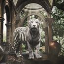 Mi Proyecto del curso: Secretos del fotomontaje y el retoque creativo . Fotografi, Fotografi Pascaproduksi, VFX, Retouching Foto, Fotografi Seni Rupa, Komposisi Fotografi, Dan Photomontage proyek oleh DAVID ROSARIO LEYTE - 07.20.2021