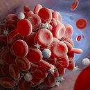  ¿Dónde estás Galileo?. Stor, telling, Communication, Cop, writing, and Content Marketing project by franciscot - 06.02.2021