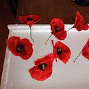 Amapolas , Lobelias y Mas Ein Projekt aus dem Bereich  von Noemí Cortés - 22.07.2021