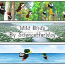 Staxel Mod | Wild Birds . Video Game proyek oleh Erica Wagner - 03.13.2018