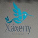 Mi Proyecto del curso: Principios básicos de SEO XAXENY. Un projet de Marketing, Marketing digital, Marketing mobile, Marketing de contenu, Growth marketing , et Webdesign de Isela Galo - 25.07.2021