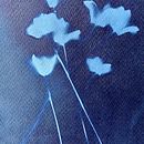 My project in Cyanotype: Printing with Light course. Un progetto di Artigianato, Belle arti, Stampa, DIY e Fotografia analogica di Adrian Fingleton - 26.07.2021