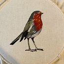 Mi Proyecto del curso: Pintar con hilo: técnicas de ilustración textil Ein Projekt aus dem Bereich Traditionelle Illustration und Stickerei von Karina - 26.07.2021