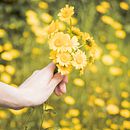 Entre flores. Photograph, Photographic Composition, Photograph, and Post-production project by Tania García Martínez - 07.27.2021