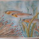 Mi Proyecto del curso: Ilustración de universos marinos en acuarela. Een project van Traditionele illustratie, Schilderij, Aquarelschilderen y Naturalistische illustratie van bgallisilvia - 27.07.2021