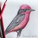 Pájaros que habitan Córdoba. Un proyecto de Ilustración tradicional, Dibujo, Bocetado y Sketchbook de Natalia Bustos - 27.07.2021