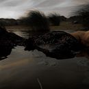 Sumergida. Fotografia, Stor, telling, Fotografia artística, e Narrativa projeto de Vera Lecko - 28.07.2021