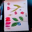 Mi Proyecto del curso: Ilustración botánica con acuarela. Projekt z dziedziny Trad, c, jna ilustracja,  Sztuki piękne,  Malarstwo,  R, sunek, Malowanie akwarelą, R i sunek botaniczn użytkownika Maria G Bernardez - 28.07.2021