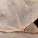 Mi Proyecto del curso: Fotografía con luz natural: UNISONO - Diego Petrilli . Fotografi, Pencaha, aan Fotografi, Fotografi Digital, Retouching Foto, Fotografi Mode, Fotografi Ga, Dan a Hidup proyek oleh Diego Petrilli - 07.28.2021