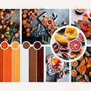 Mi Proyecto del curso: Fotografía flat lay llena de color para Instagram QUESADILLAS. Projekt z dziedziny Fotografia, Portale społecznościowe, Fotografowanie smartfonem, Fotografia cyfrowa, Marketing mobilny, Instagram, Marketing treści, Fotografia na Instagram, Marketing na Instagramie i  Fotografia lifestyle użytkownika pattymartinezg13 - 28.07.2021