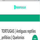 Mi Proyecto del curso: SEO y SEM: estrategias de posicionamiento en Google. Un projet de Marketing, Réseaux sociaux, Marketing digital, Marketing mobile, Marketing de contenu , et Growth marketing de Manuel Jesús Rodríguez ambriz - 28.07.2021