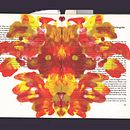 Experimental Book. Un proyecto de Sketchbook y Papercraft de Michele Rachner - 31.07.2021