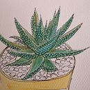 Il mio progetto del corso:  Sketchbook botanico: un approccio meditativo Ein Projekt aus dem Bereich Traditionelle Illustration, Skizzenentwurf, Zeichnung, Aquarellmalerei, Botanische Illustration und Sketchbook von ilaria_naddeo - 31.07.2021