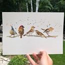 My project in Artistic Watercolor Techniques for Illustrating Birds course Ein Projekt aus dem Bereich Traditionelle Illustration und Aquarellmalerei von carolinezenss - 30.07.2021