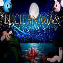   Luciérnagas - cortometraje. Stop Motion, Character Animation, Animation, VFX, Video Editing, Audiovisual Post-production, Filmmaking, and Matte Painting project by Carmen Rodríguez García - 08.03.2021