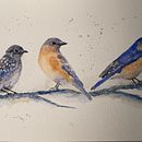 My project in Artistic Watercolor Techniques for Illustrating Birds course . Ilustrasi tradisional, Lukisan Cat Air, Gambar Realistis & Ilustrasi Naturalistik proyek oleh Carmen Fischer - 08.03.2021