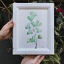 Mi Proyecto del curso: Ilustración botánica con acuarela. Projekt z dziedziny Trad, c, jna ilustracja,  Sztuki piękne,  Malarstwo,  R, sunek, Malowanie akwarelą, R i sunek botaniczn użytkownika Javiera Pizarro H. - 01.04.2020
