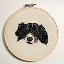 Mi Proyecto del curso: Needle painting para principiantes. Un projet de Broderie et Illustration naturaliste de Cecilia Lizama - 03.08.2021