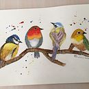 My project in Artistic Watercolor Techniques for Illustrating Birds course. Un proyecto de Ilustración tradicional, Pintura a la acuarela, Dibujo realista e Ilustración naturalista				 de Pamela Andrew - 04.08.2021