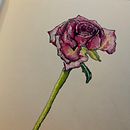 My project in Botanical Sketchbooking: A Meditative Approach course. Een project van Traditionele illustratie,  Schetsen,  Tekening, Aquarelschilderen,  Botanische illustratie y Sketchbook van Heather Dack - 04.08.2021
