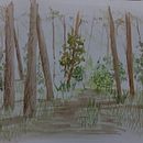 Mi Proyecto del curso: Paisajes naturales en acuarela. Projekt z dziedziny  Sztuki piękne,  Malarstwo i Malowanie akwarelą użytkownika Cristhian Rojas Granados - 31.07.2021