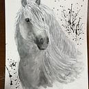 My project in Expressive Animal Portraits in Watercolor course Ein Projekt aus dem Bereich Traditionelle Illustration, Aquarellmalerei, Realistische Zeichnung und Naturalistische Illustration von jkchumbler18 - 05.08.2021