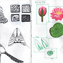 Meu projeto do curso: Sketching diário para inspiração criativa. Ilustração tradicional, Esboçado, Criatividade, Desenho, e Sketchbook projeto de Kamilla Rosa - 05.08.2021