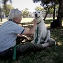 Mi Proyecto del curso: Fotografía lifestyle de perros. Un projet de Photographie, Photographie de portrait, Photographie pour Instagram, Photographie documentaire, Photographie lifest , et le de Lorena Oyarzabal - 05.06.2021