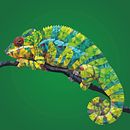 Low Poly Chameleon  . % stevieverweijmeren tarafından hazırlanan Geleneksel illüstras, on, Ve Tasarım projesi - 08.06.2021