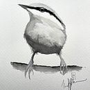 My project in Artistic Watercolor Techniques for Illustrating Birds course. Un progetto di Illustrazione tradizionale, Pittura ad acquerello, Disegno realistico e Illustrazione naturalistica di mike_38 - 06.08.2021