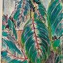 Botanica. Traditional illustration project by Froukje van Aalst - 08.07.2021