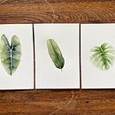 Mon projet du cours : Aquarelle botanique pour la création d’imprimés. Un projet de Illustration traditionnelle, Création de motifs, Aquarelle et Illustration botanique de sophie_bauer0711 - 06.08.2021
