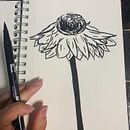 Botanical Study & Interior Design. Un projet de Esquisse , Design , Illustration botanique , et Design d'interaction de Samantha - 08.08.2021