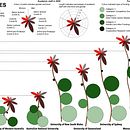 My project in Data Visualization and Information Design: Create a Visual Model course. Projekt z dziedziny Projektowanie informacji, Projektowanie interakt, wne i Infografika użytkownika irenesuamar - 09.08.2021