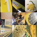 U1 : Photographie de Jaune. Un projet de Design  et Illustration traditionnelle de Audrey Sinner - 09.08.2021