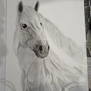 My project in Expressive Animal Portraits in Watercolor course. Een project van Traditionele illustratie, Aquarelschilderen, Realistische tekening y Naturalistische illustratie van Julia C - 09.08.2021