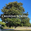 Meu projeto do curso: Criação de histórias para crianças. Un progetto di Educazione, Scrittura, Storytelling, Illustrazione infantile, Creatività con i bambini e Narrativa di Maria Vilela George - 07.08.2021